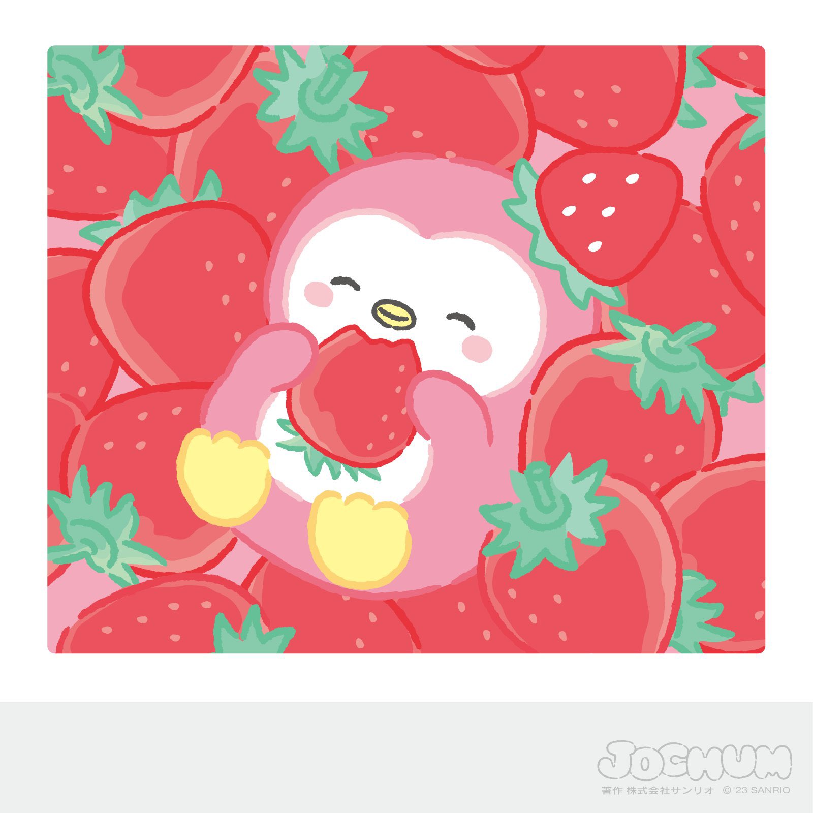 JO1 川西拓実 ぽぽ