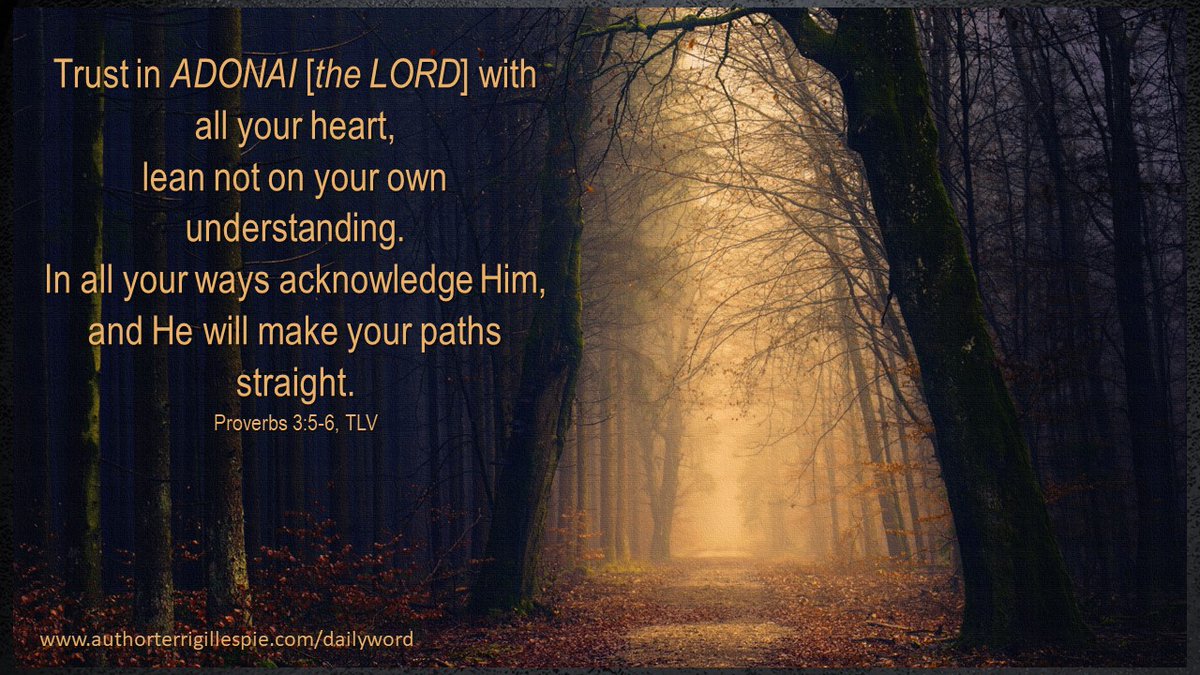 TerriG_Author's tweet photo. Daily Word: Our Own Understanding Can Be Shaky. Proverbs 3:5-6 https://t.co/r8w9lPAIsm
@YouVersion #VerseOfTheDay #dailydevo #DailyDevotion #DailyWord #DailyWisdom #Proverbs #BibleVerses #bibleverse #BibleVisuals #Bible #DailyTouch
#trust #leanonGod https://t.co/wIkpIpxs5S