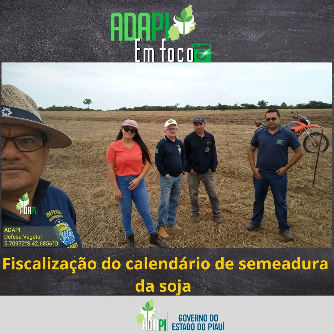 adapi_pi's tweet image. Ação da Defesa Vegetal. Fiscalização de Calendário de Semeadura da Soja e Cadastro de propriedades produtoras nos municípios de Agricolândia, São Pedro do Piauí e São Gonçalo do Piauí. Ao todo foram fiscalizados mais de 3.000ha da cultura.
#adapi #semeaduradasoja