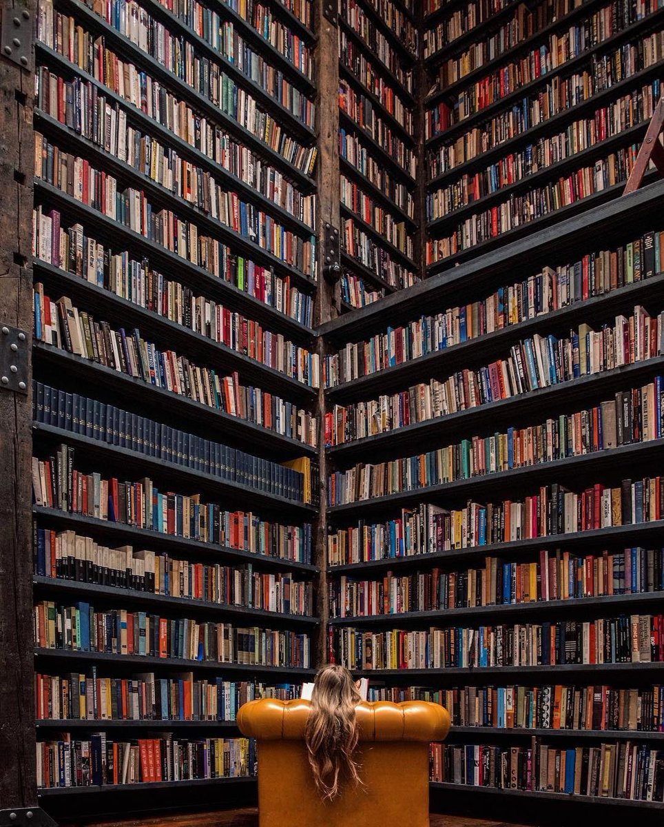 vlady_elena's tweet photo. I love the smell of books ink… 📚📚📚 ©️B. Budzynska.
Library at Stony Island Art Bank, Chicago. https://t.co/OFbhI7Au78