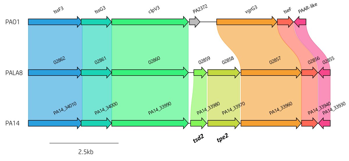 Luke Allsopp tweet media