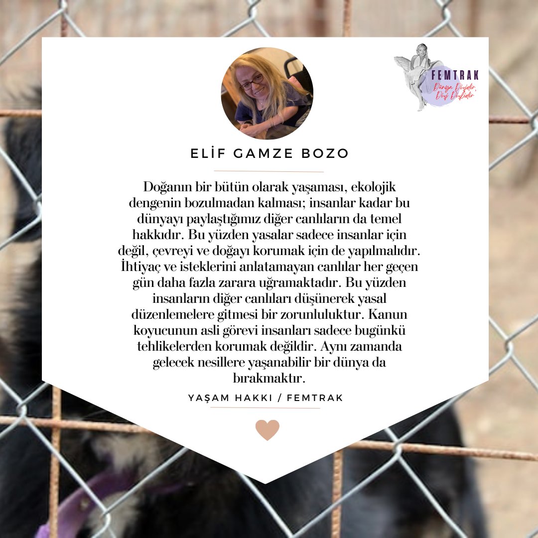 Elif Gamze Bozo yazdı: "Yaşam Hakkı" - femtrak.com/yasam-hakki/
