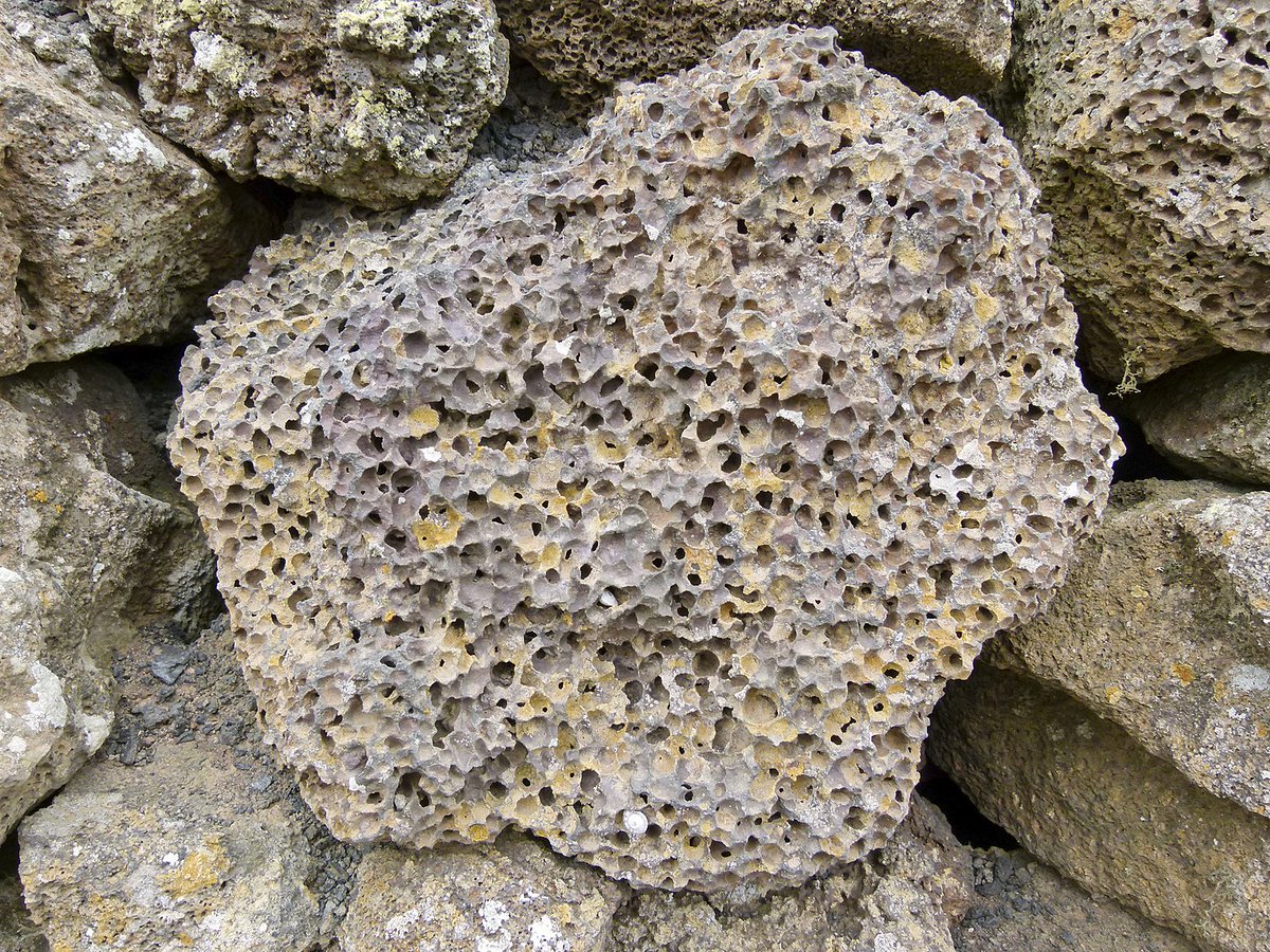 La PUMITA o PIEDRA PÓMEZ es una roca ígnea , volcánica con una textura vítrea,  vamos, que no le vemos los cristales. Es de color blanca o gris, y tiene un montón de hueco o vesículas, es muy porosa. Se usa mucho como abrasivo.

📷⤵️Norbert Nagel
commons.wikimedia.org/w/index.php?cu…