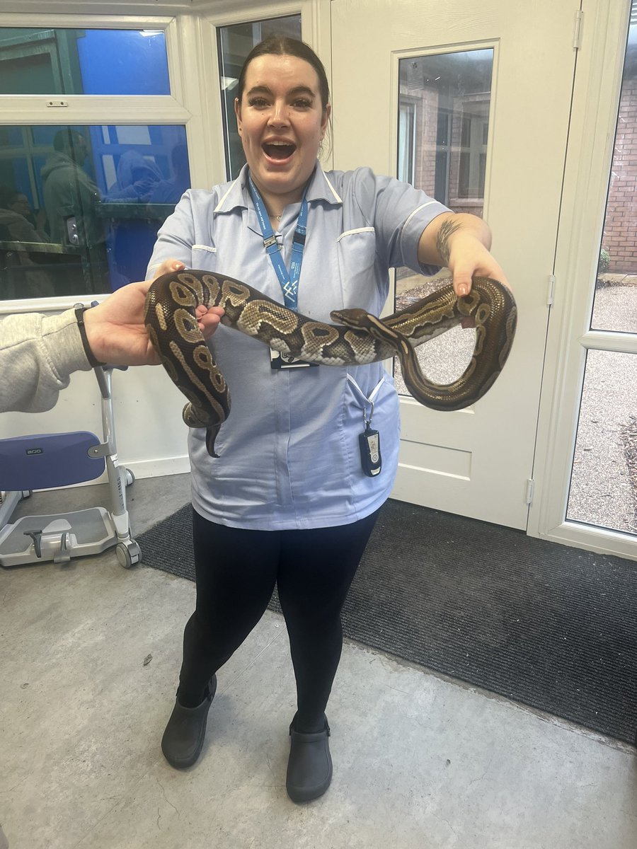 MeganwarhamX's tweet photo. Animal therapy on oak ward this morning. Both patients and staff loved it 🐍🕸 https://t.co/P6iHufJZDw
