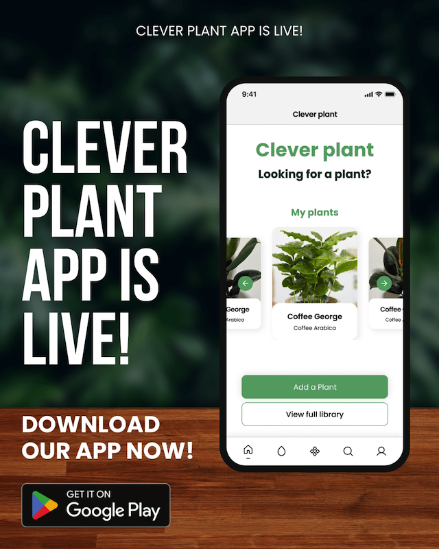 PeterStrelec4's tweet photo. Clever Plant app is now available for all #Android users! 🎉

Download the app from Google Play Store for free by following this link: 

https://t.co/gsLIQsJsvB https://t.co/wfcSvggx2A