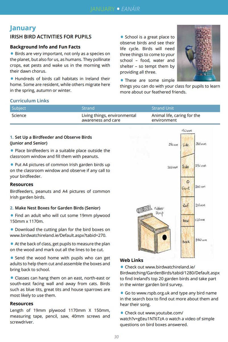 💥Free teacher resources 💥January is a great month to observe native birds in school.
1️⃣Use these matching sets to help pupils identify &amp; learn about birds
2️⃣Put peanut bird feeder outside your class &amp; observe who comes
3️⃣ Get pupils to make bird boxes for school #edchatie