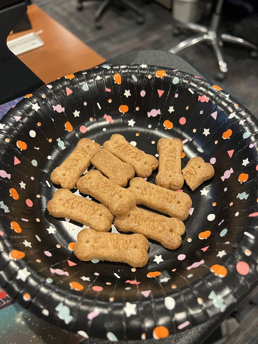RenaKARE11's tweet photo. Walked into work this morning and my boss was eating out of this bowl. He claims they are graham crackers…I just tried one. Definitely dog bones. https://t.co/fWQusQURDJ