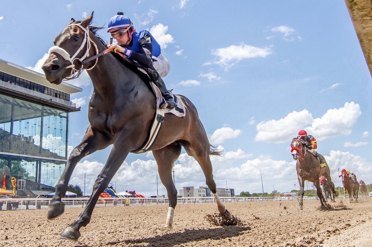 Kevin Preston tweet media