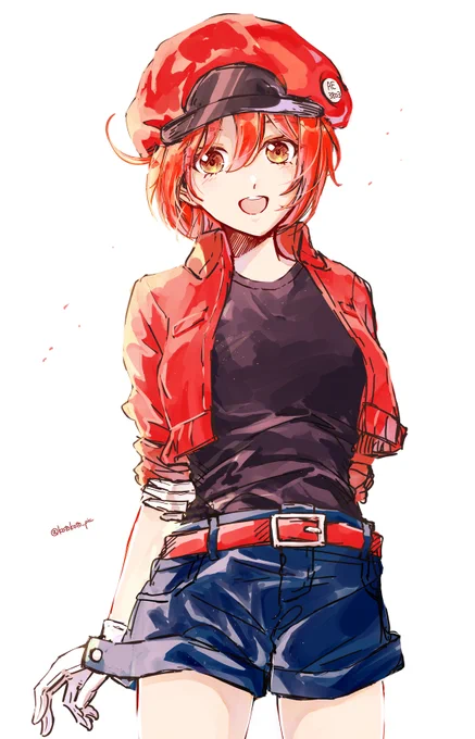 せっけっきゅ 