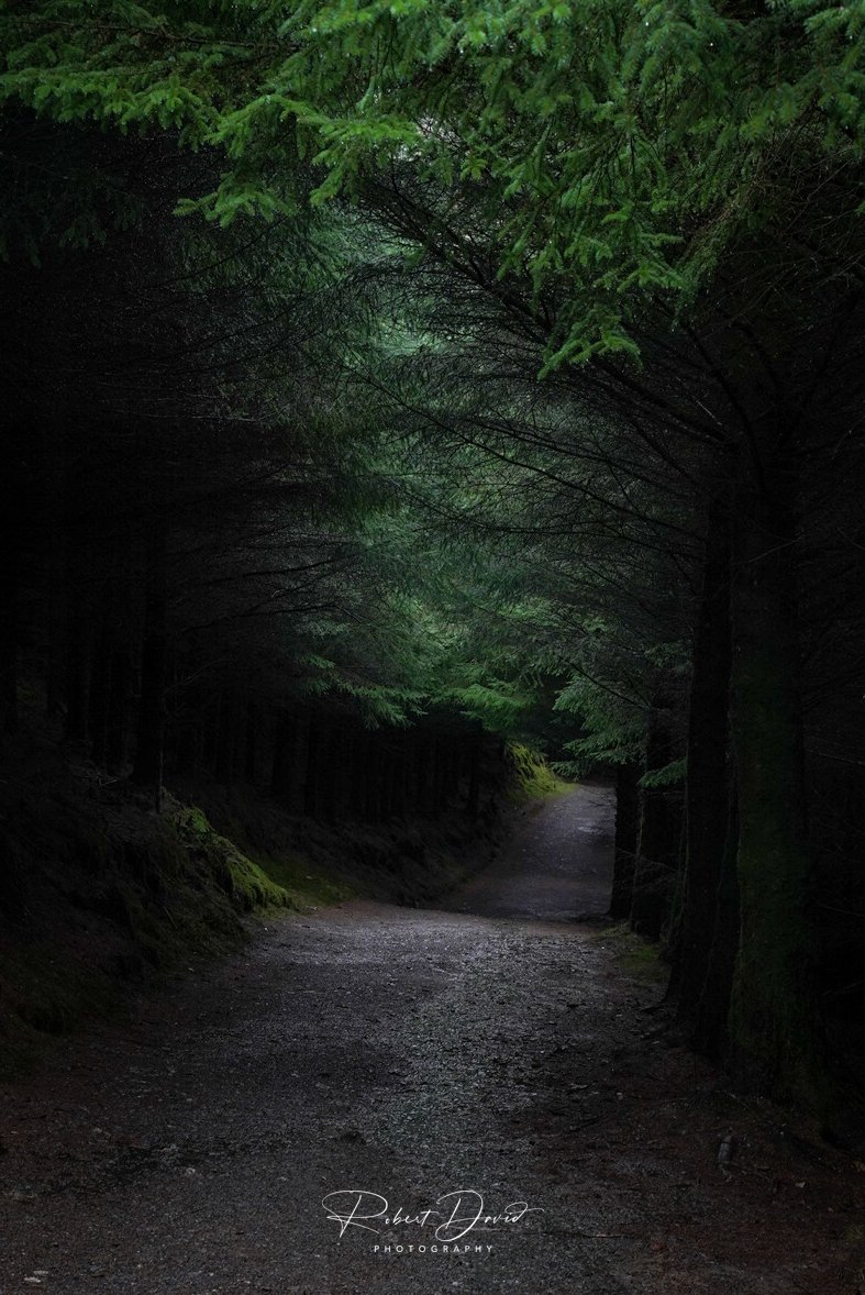 Dodd Wood - Cumbria
•
#mountains #landscape #lakedistrict #yourlakedistrict  #love_lakes_walks #lakedistrict #lakesshots #matthewspresets #skyscape #fabskyshots #landscapephotography #landscapephoto #landscapephotomag #gloriousbritain #scenicbritain #earthfocus #fantasticearth