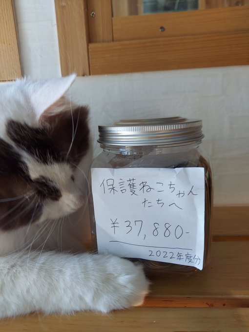 猫ちゃん』の評価や評判、感想など、みんなの反応を1日ごとにまとめて ...