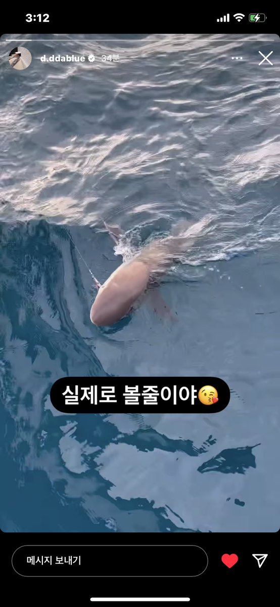 상어..?? 보고 신난 강쥐
웃음소리가 신난걸 증명해줌