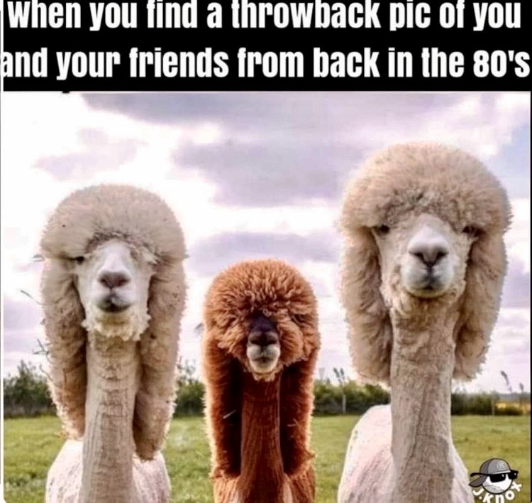 davidcoverdale's tweet photo. Yep…😂😂😂 https://t.co/MOBnC2MSrO