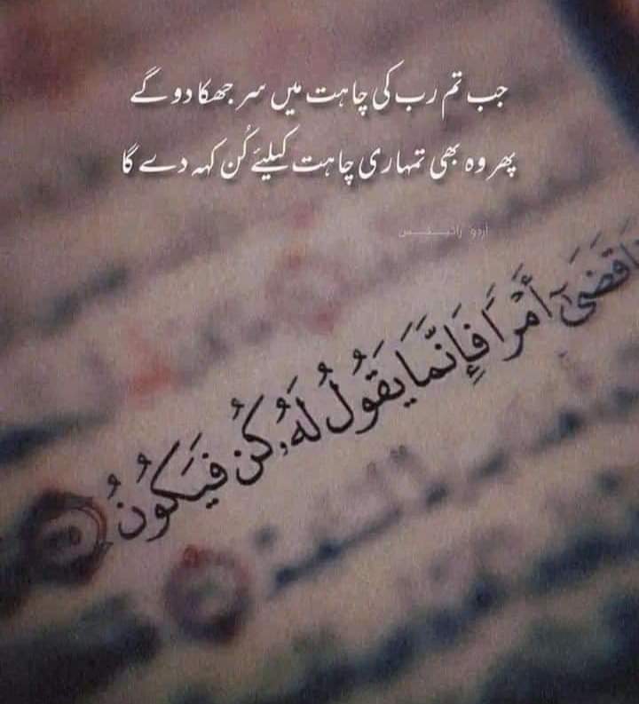 Khanz Shares🕊 tweet media