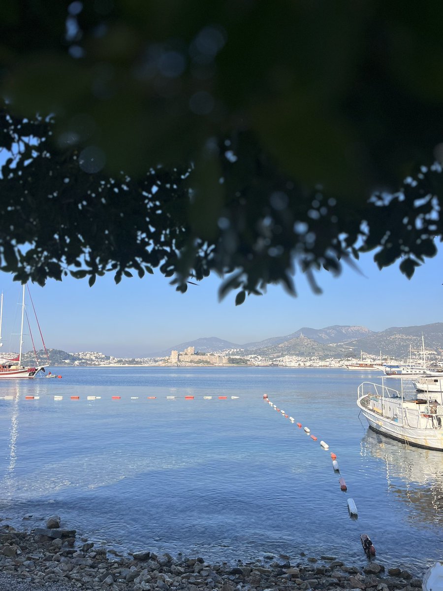 Günaydın bodrumm🌻😃