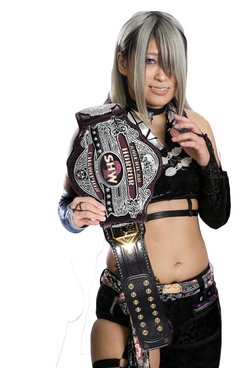 OsakaDeviI's tweet photo. It has been an honor to carry the American Horror Championship for as long as I did. In addition to challenging the @ShWfed Hostel Heavyweight Champion, I offer a challenge he or she who carries this title next: do better. If you can.

#662Days
#ForRoni https://t.co/qWwSYLw4jC