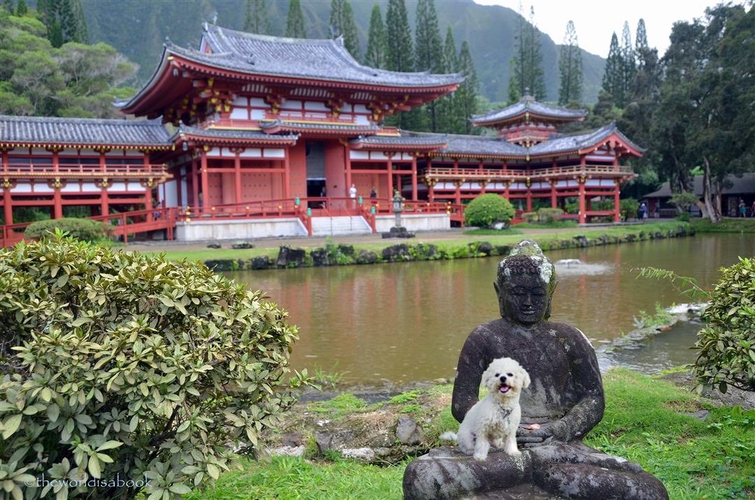 TedCruzPoodle's tweet photo. That time I went on sabbatical...
#adventureswithsnowflake
#peacefulpoodle https://t.co/IeYuHg86lf