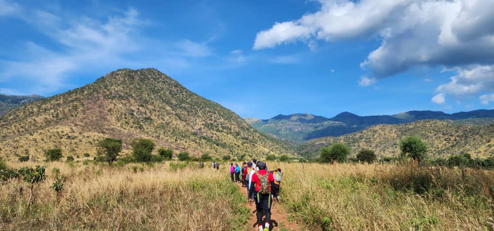 Ben Olwol tweet media