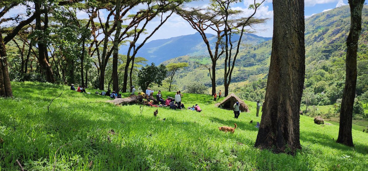 Ben Olwol tweet media