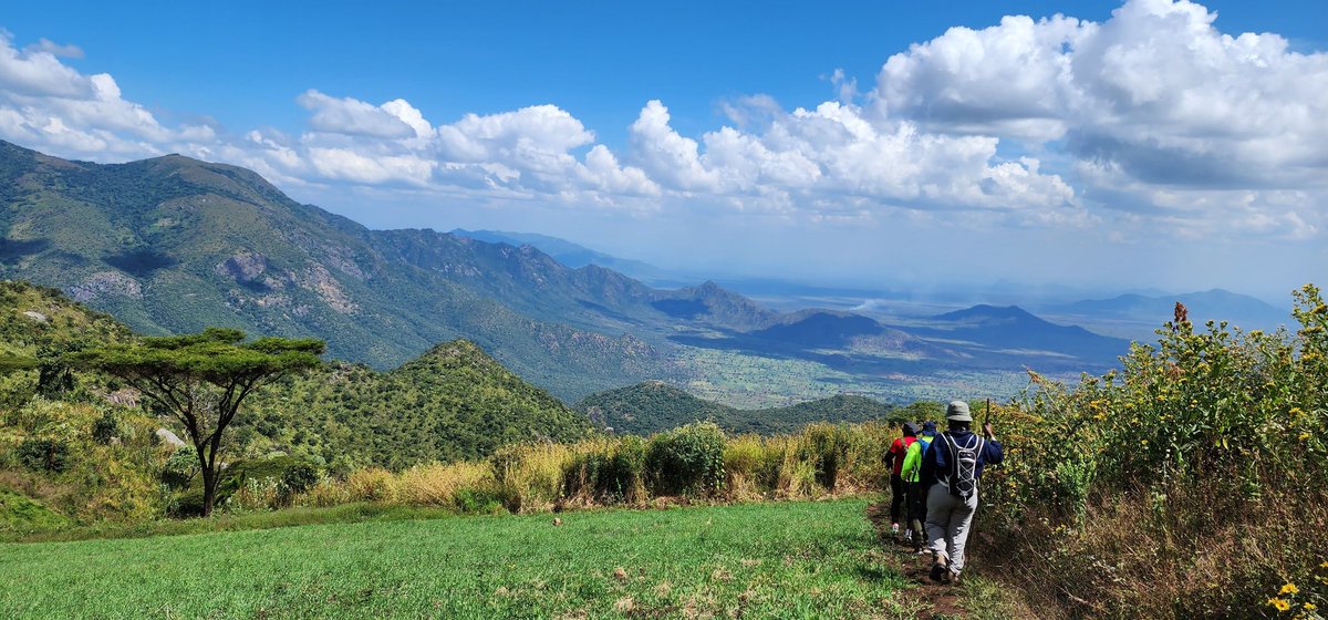 Ben Olwol tweet media