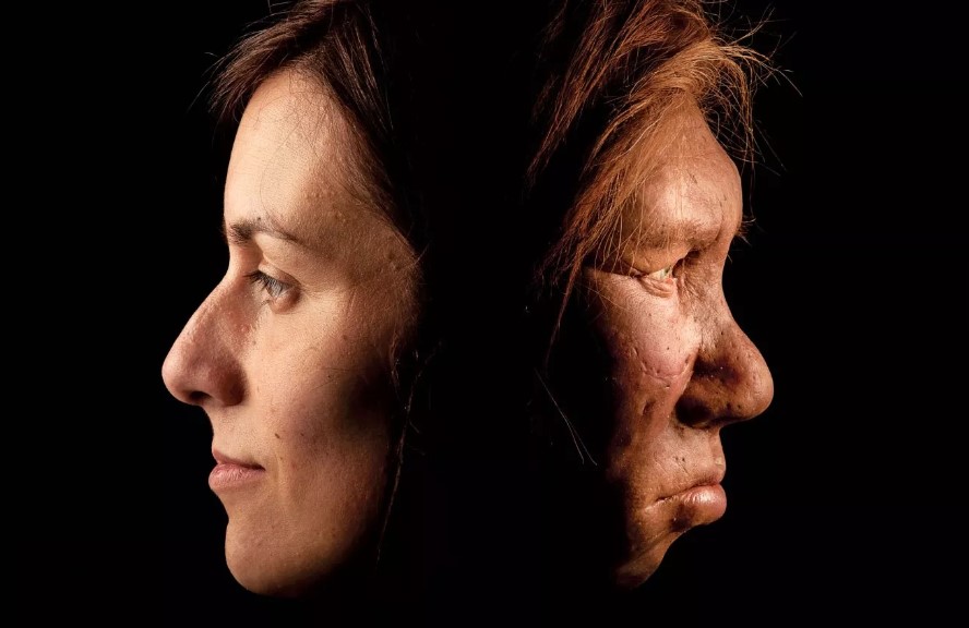 Neanderthals Were Smart, Sophisticated, Creative—and Misunderstood newsweek.com/2023/01/13/nea…