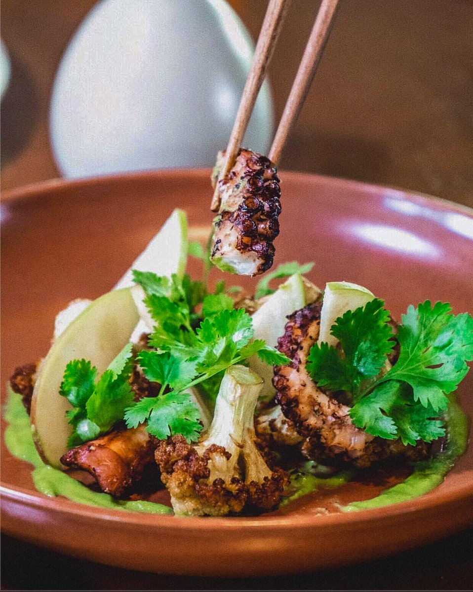 CucaBali's tweet photo. Cuca’s BBQ Octopus: 8 reasons to love it.
Photo by Shem Arciel
#CucaBali #InventiveComfortFood #bestinAsia https://t.co/TXvV9ffs5T