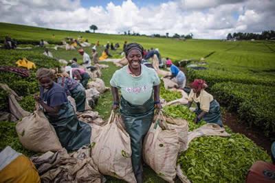 Rural #women are one of the most important pillars in the Agri-Food industry and a key contributor to global food security. 

#agriculture #foodsecurity #food #blockchain #btc #bnb #polygon $matic #near #DeFi #Dreamspace #Varisu