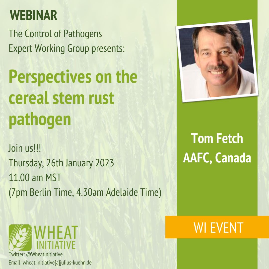 The WI Expert Working Group on #Wheat #Pathogens will have their first WEBINAR! 

Please find all info here!
 👇 👇 👇 
wheatinitiative.org/new-events/per…

<a href="/karchuntan/">KC 👨‍🔬🌾🍄🇦🇺</a> <a href="/ReemWheat/">Reem Aboukhaddour</a>