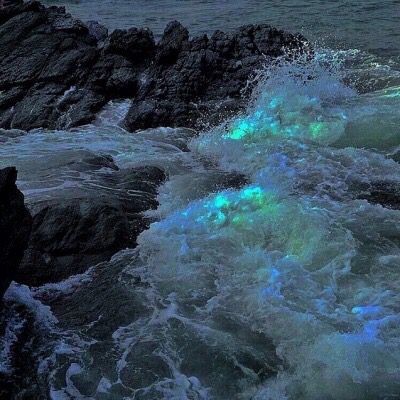 sleepbefore_AM's tweet photo. #Themythsofwater #Aonunete
Sea witch-marks
ในเผ่าแมคคายีน่ามีตำนานกล่าวขานเอาไว้
ท่ามกลางมหาสมุทรกว้างใหญ่ มีสตรีนางหนึ่งซ่อนตัวอยู่ใต้ถ้ำลึกสุด
เรียวขาของนางเคลือบด้วยเกล็ดปลา มีกรงเล็บแหลมคมและดวงตาที่เปล่งประกายดำมืด ครองไว้ด้วยอำนาจอันยากแท้หยั่งถึง
นางแม่มดผู้สาปส่งนาวี https://t.co/6fdASSGe5R