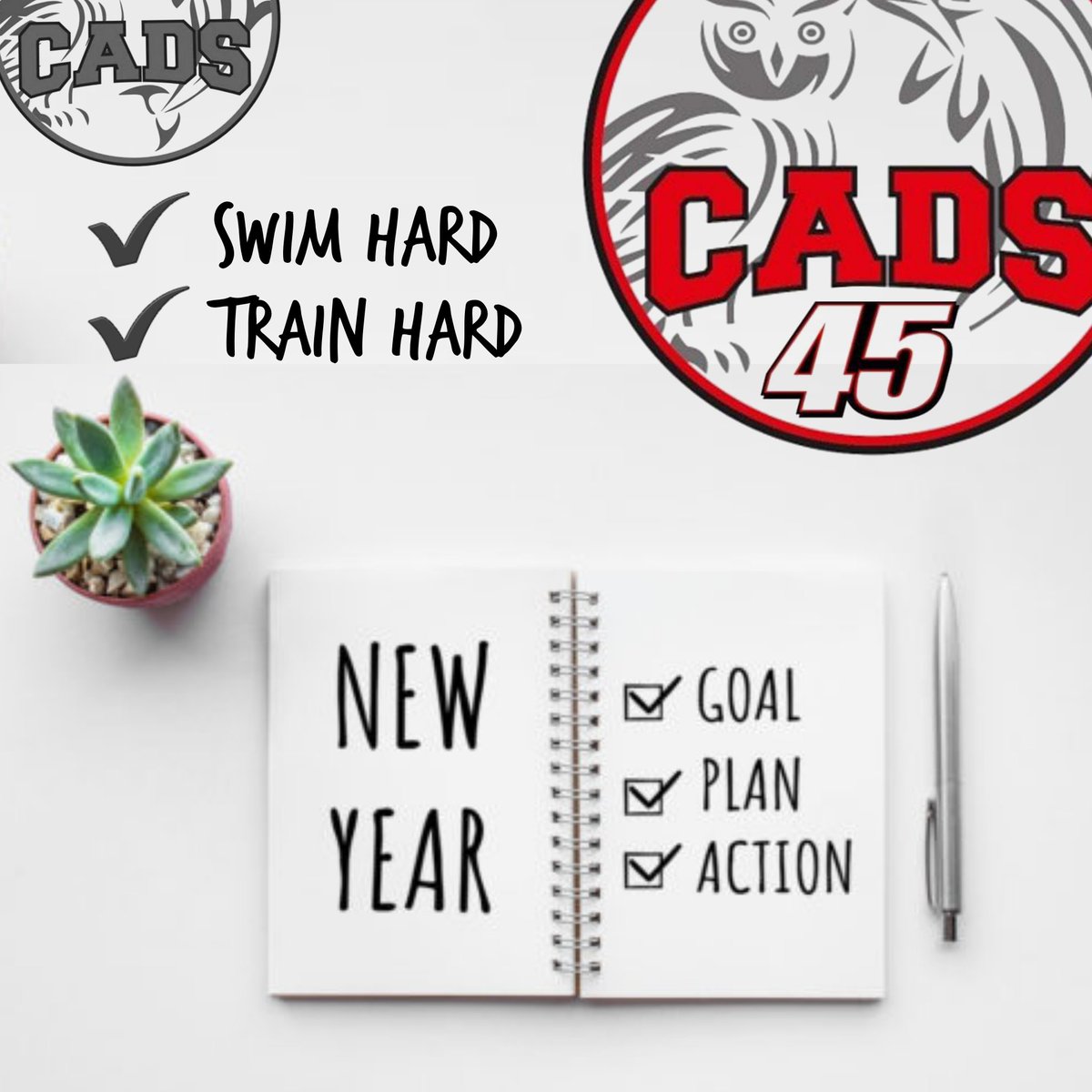 SwimCads's tweet photo. Happy New Year &amp; Happy New Training : As we head towards our first meet on 2023 Team CADS are working hard : looking forward to an amazing season &amp; seeing what this new year brings to our club. 
✔️ stay positive 
✔️ keep training hard 
✔️ teamwork 
@Swim_England @asanortheast https://t.co/Gaw2bE8IUi