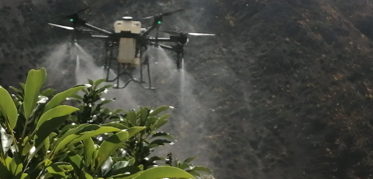 chufangagri's tweet photo. Agriculture is a field full of endless possibilities.
For more information contact me: 8618821326296
#dronesforfarming #bestdrones #agriculture #Latestagriculturedrone #agriculturedrone #UAVagrícola #droneuse #dronesinagriculture #agcodrone https://t.co/PXlqGXp15u