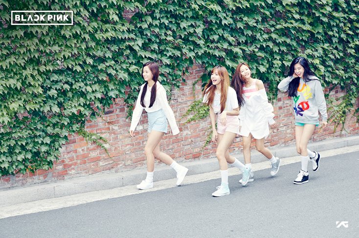 rozayfairy's tweet photo. Predebut Blackpink got 30 dollars each and a ride to their local Ross but they made it work https://t.co/71pwQFhOSW