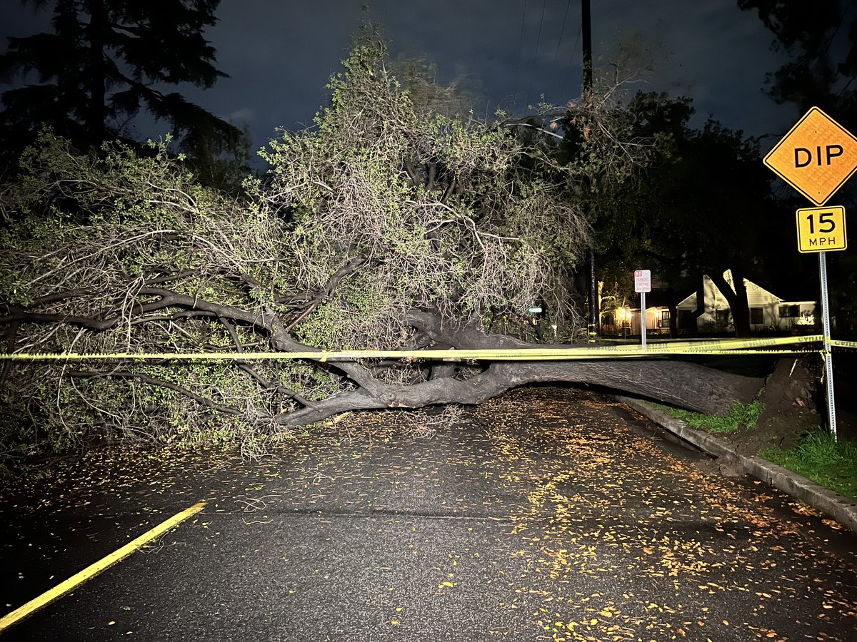 A large tree is down in Burbank on S Beachwood Drive and W Oak Street. Caution tape now blocks the area. #winterstorm <a href="/FOXLA/">FOX 11 Los Angeles</a>