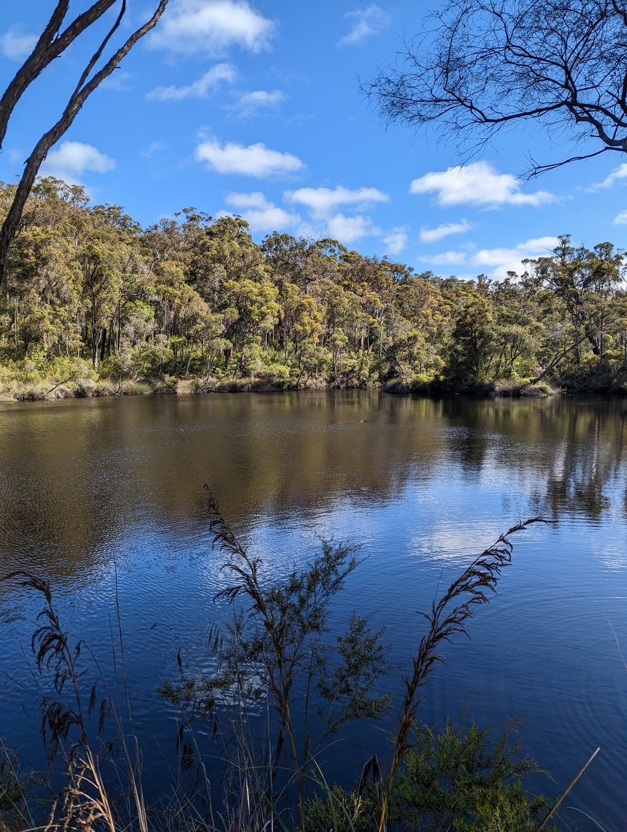 A lovely spot for a swim.