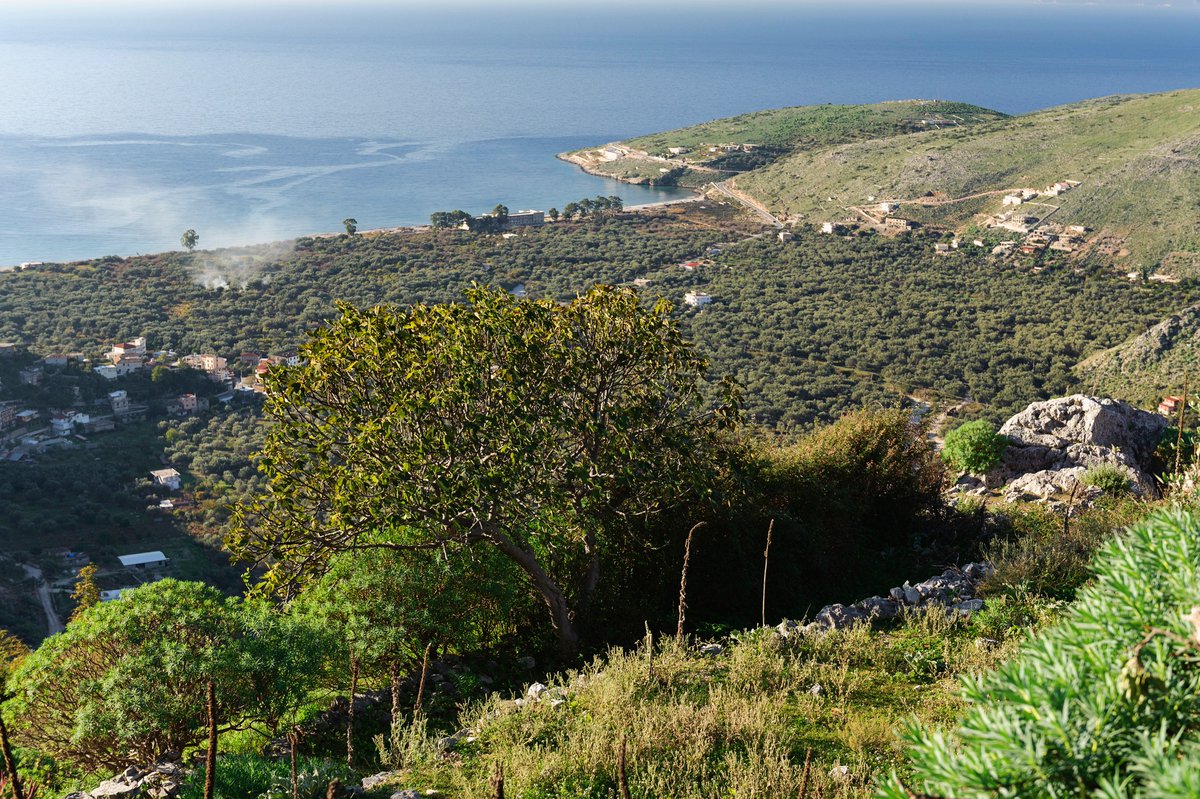 turizmit's tweet photo. 📍 Qeparo, fshati mistik i Rivierës Jon 💛
👉 Magjia e peizazhit të bregdetit tonë është po aq  bukur edhe gjatë dimrit. 🤩😍
#ZbuloningjyrateShqipërisë  🌈
#VisitAlbania ✈️
#SmileAlbania 🙂
#Qeparo
#pushoshqip #udhetoshqip #destinacionetemia https://t.co/xpqSapKl57