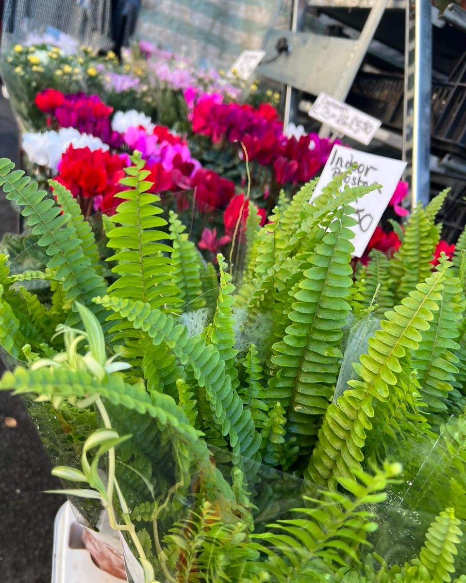 * Happy New Year *

Most of us have already taken down our Christmas decorations. If like us, you think your house now looks a little bare, we have the perfect remedy.

It's Market Day in #wetherby, join us from 8.30am this morning.

#wetherbymarket #treats #essentials #plants