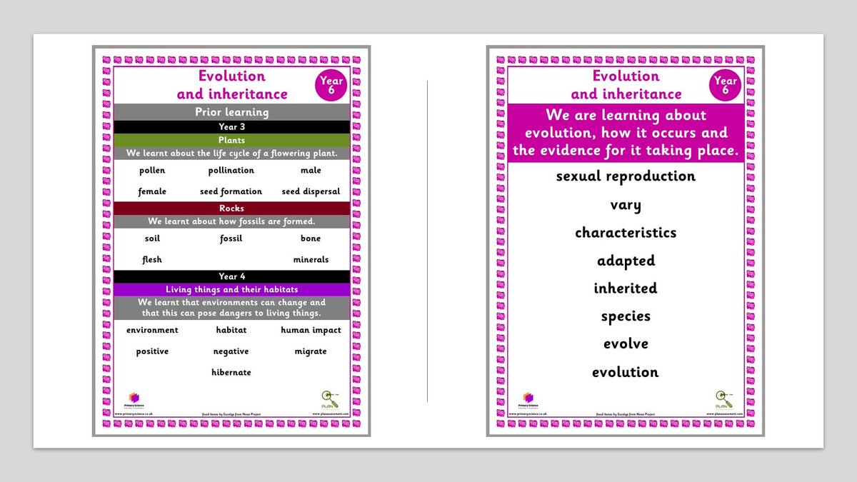 We've just published the PLAN Vocabulary posters 👇 that feature the new vocab that pupils need to be taught and learn for each topic in each year-group, plus the prior learning &amp; vocab from the topic from previous years &amp; other linked topics ow.ly/6U5h50MhjGq
