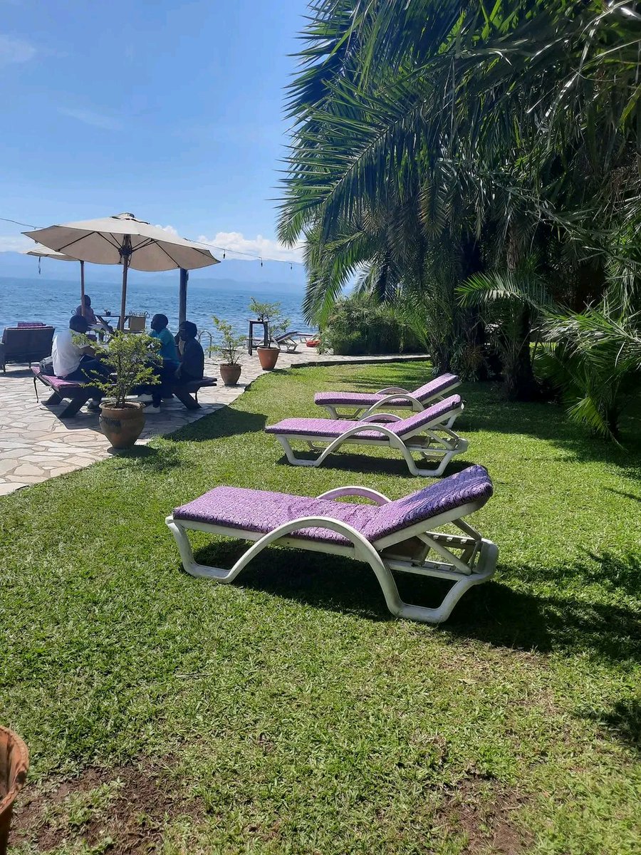 NdooleJunior's tweet photo. 📍#Goma-#LeChalet 12h39' 19°C🌤️🏃🏿♂️
#PNCJr https://t.co/gT2oh0toak