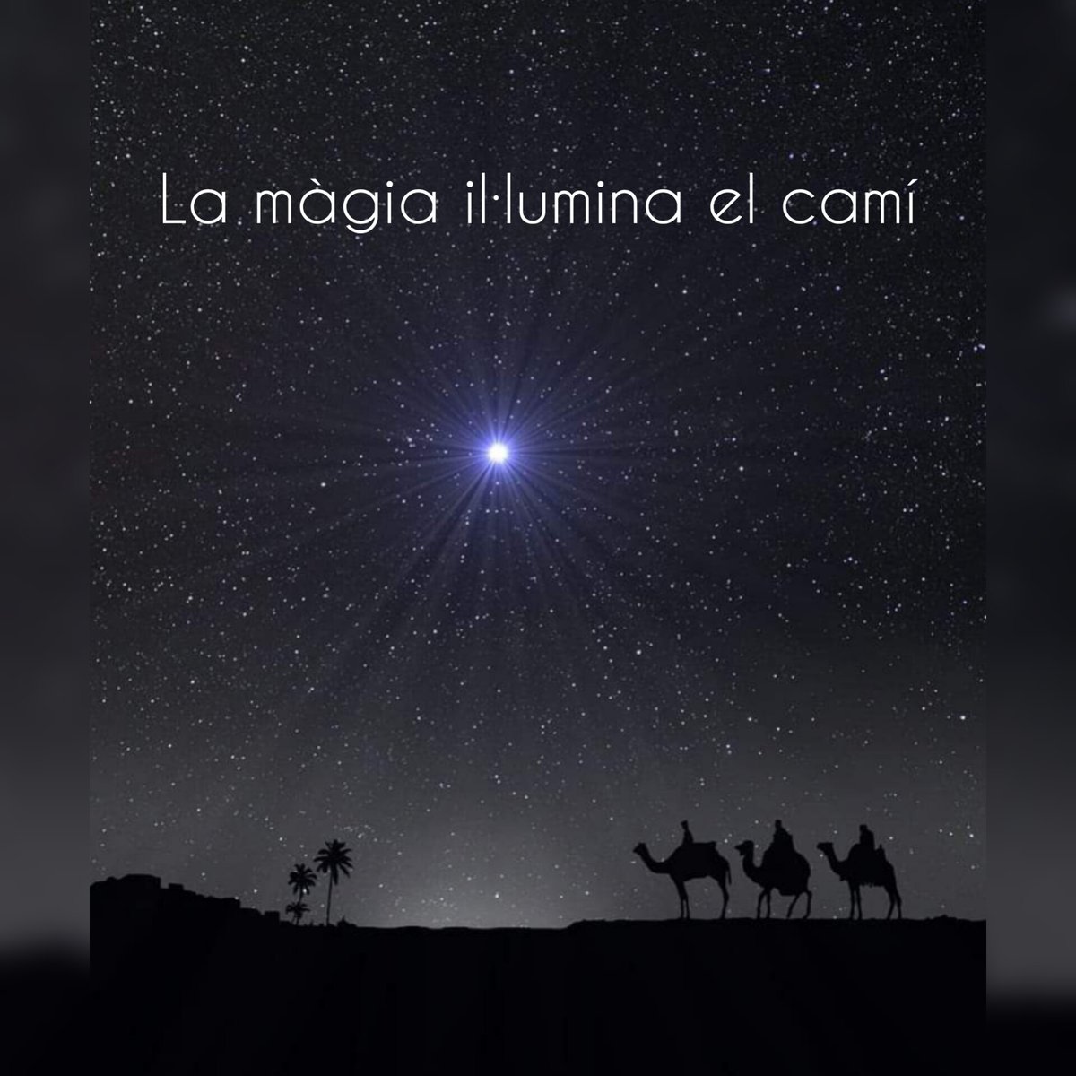 mboschte's tweet image. Que els #Reis 👑👑👑 et trobin somiant en donar la teva millor versió a la teva #llar