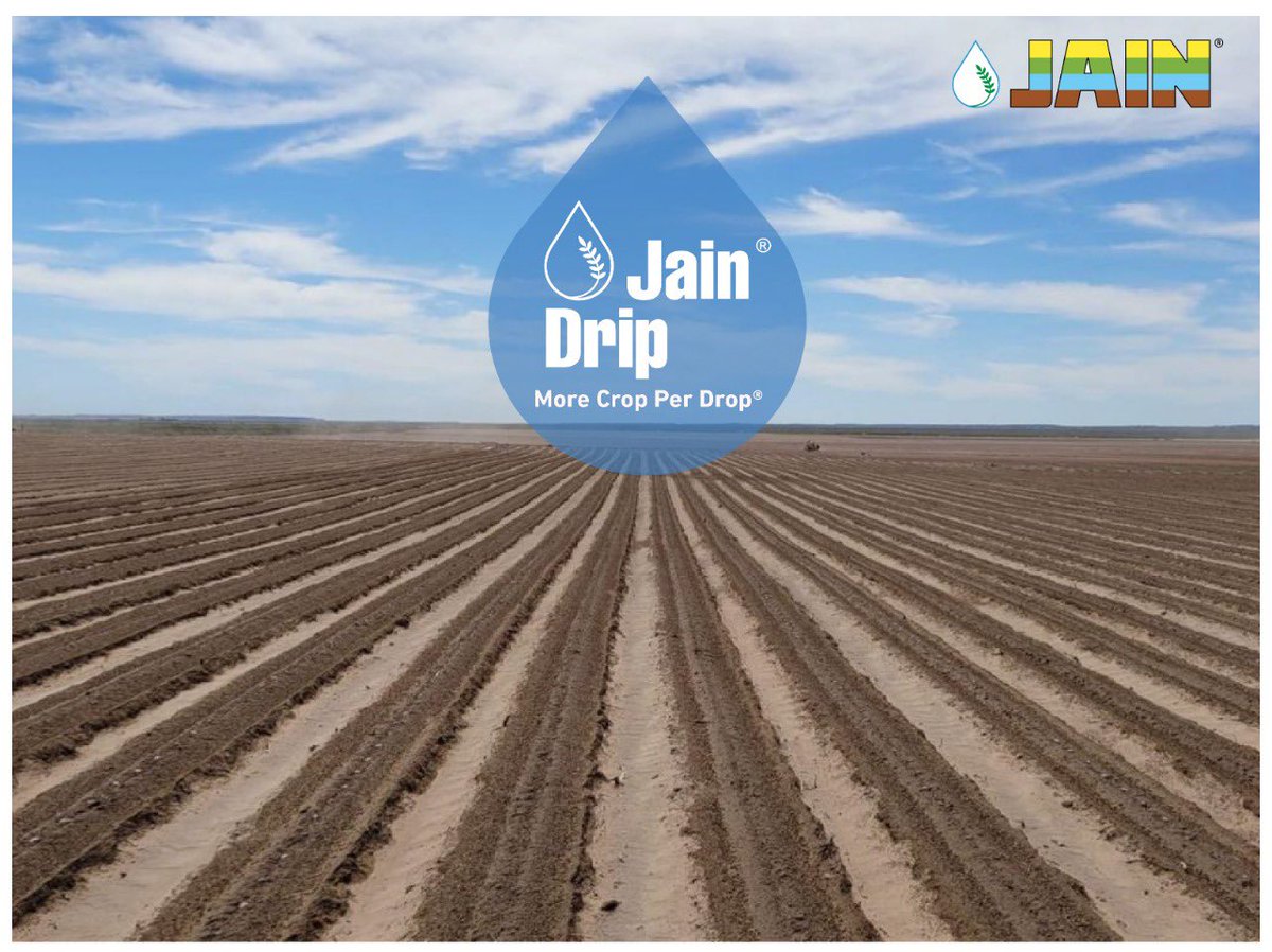Don’t see any water but the wet-stripes are seen in the field?
It’s not a magic! It is #Jain_Technology!

#Sub_Surface_Drip_Irrigation supports #Crop to achieve optimum conditions to ensure #MoreCropPerDrop 

#Drip_Irrigation technologies r #TransformingAgriculture across India.