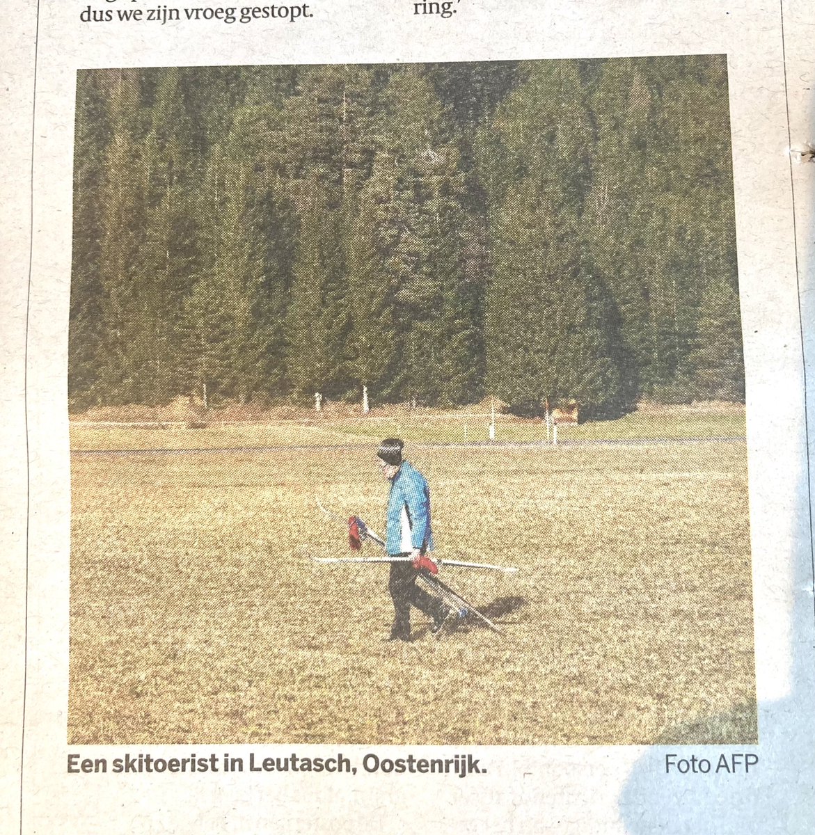 Gummbah, maar dan echt.