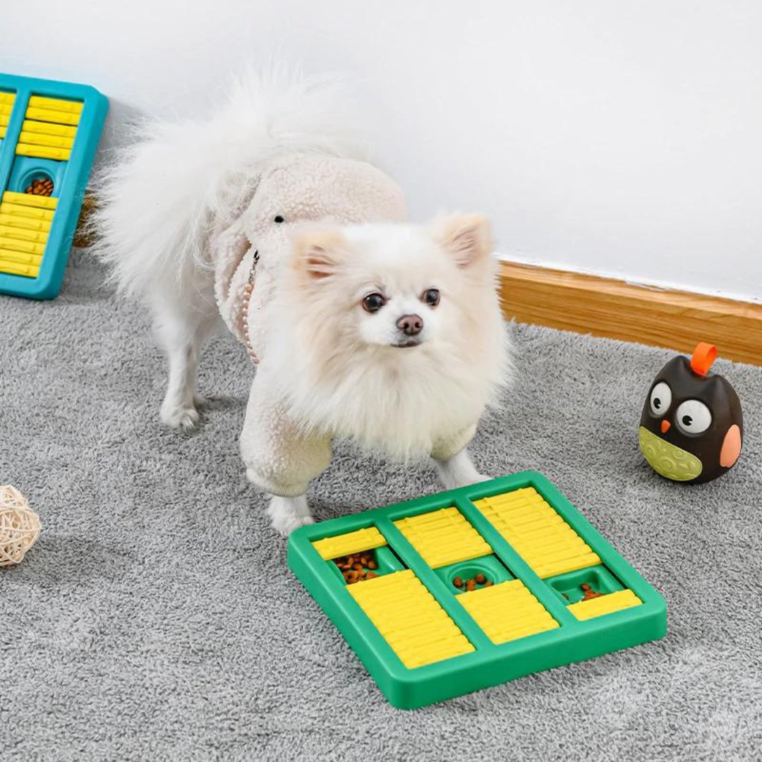 swancook2's tweet photo. Dog Educational Toys, Anti-boring Artifact, Interactive Puzzle
#pets #dogs #animals #puppiesofinstagram #pettoys #dogtoys #petlovers

Pet store... https://t.co/1XGmwmfs3W https://t.co/av0w86d80t