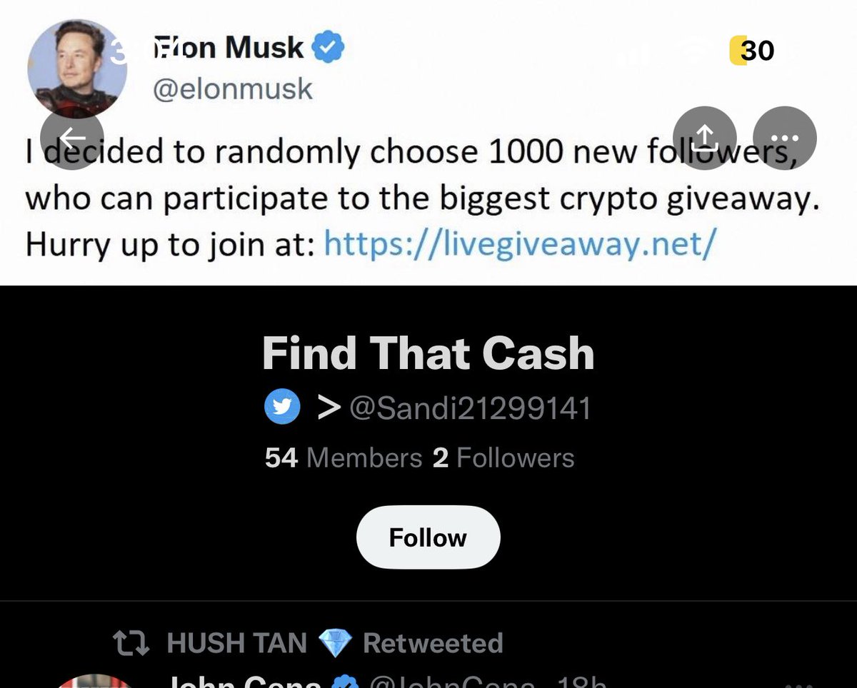 Chavez71419's tweet photo. @elonmusk got someone scanning people. Pretending to be you. https://t.co/6RdPZRmJ5L