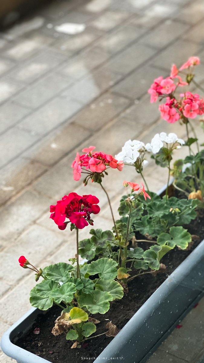 exit_photo24's tweet photo. صباحات الخميس الجميل 😌💙 https://t.co/CbxlE5b10T