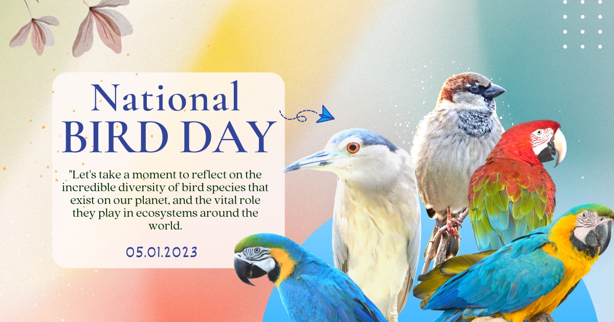 insanshobha's tweet photo. Feed the birds daily, their happiness will also give us immense satisfaction. #NationalBirdDay https://t.co/jwKzyGmS7P
