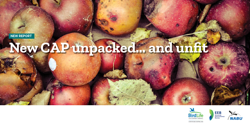 Green_Europe's tweet image. Is the #NewCAP the ‘greenest ever’?

Unfortunately not ❌

Our analysis shows that most CAP Strategic Plans not only fail to deliver for farmers and nature, but also imperil Europe’s long-term #FoodSecurity🌾

Discover more at eeb.org/library/new-ca…