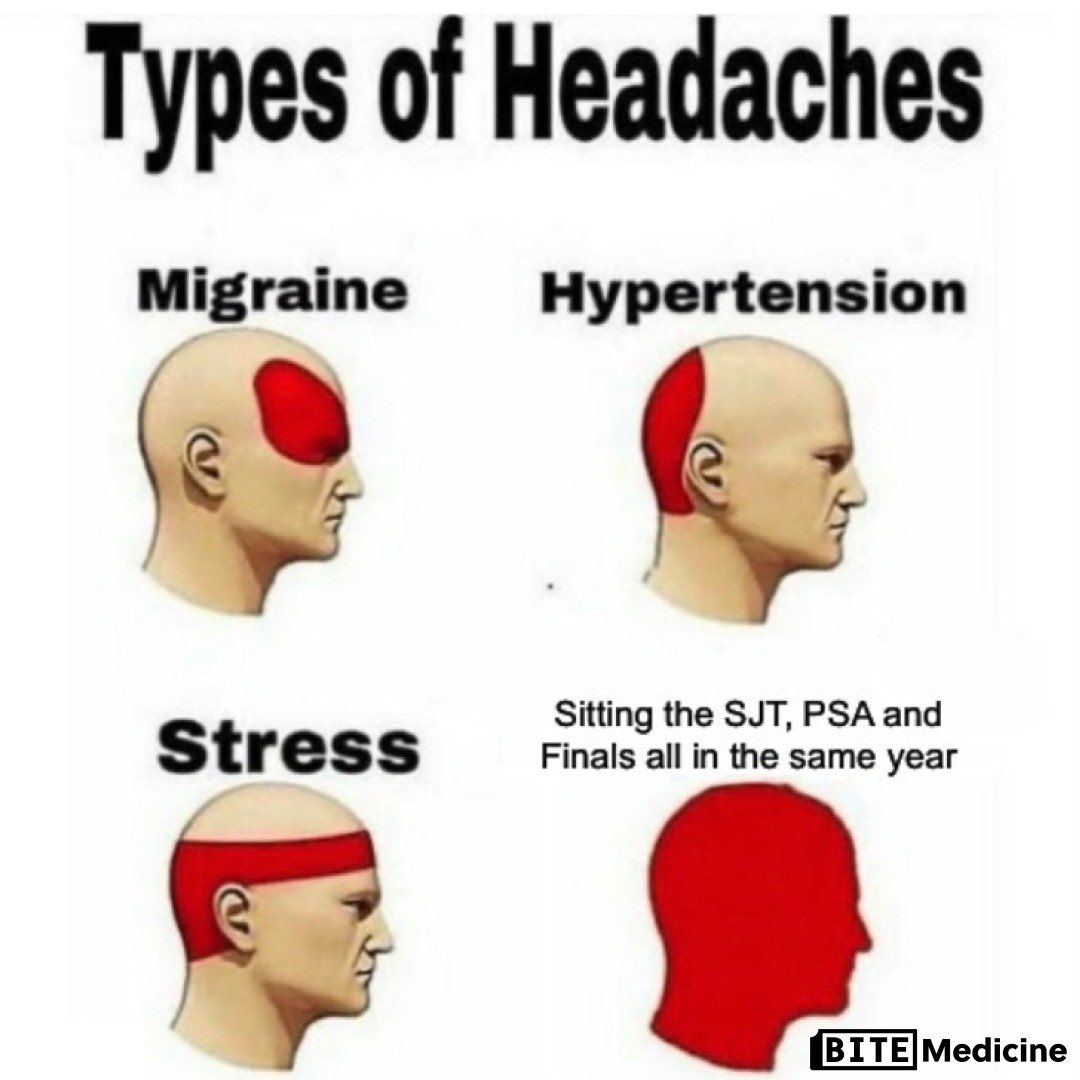 BiteMedicine tweet media