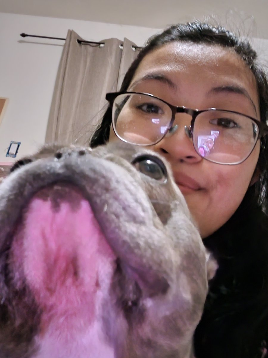 NerukiTori's tweet photo. All Hanabi Faces are my favorite. But these are the perfect slice of cakes I wanted to share. I am thinking of making Stickers and selling some to get some funds for Hanabi's Cremation. Let me know if you would buy any
#Hanabi #frenchbulldog #Cutefaces #art #derp #Cute #RIP https://t.co/I2FU5jpFYu