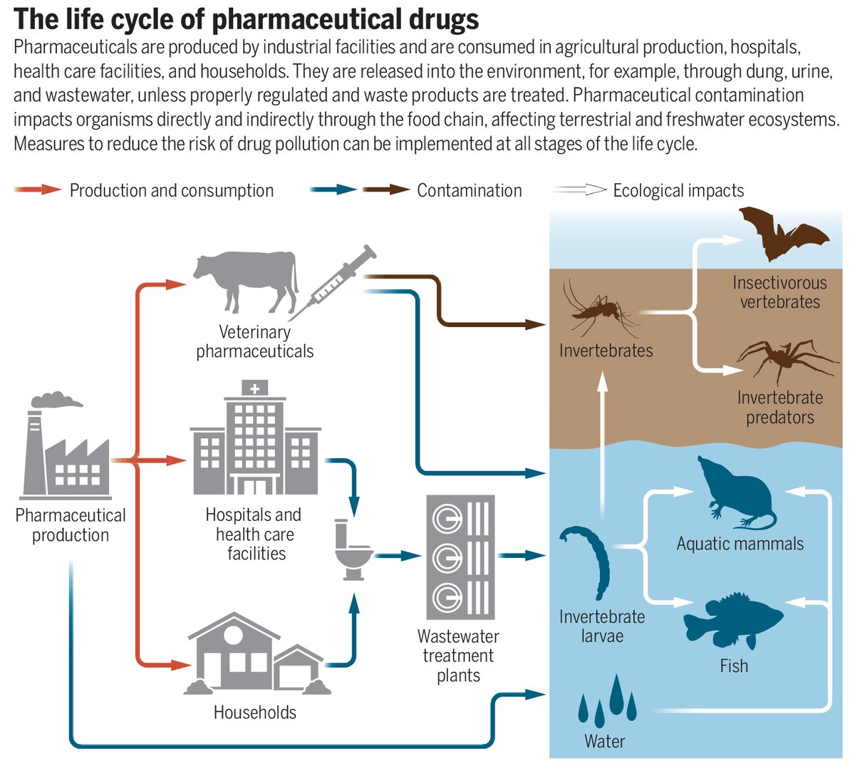 Humans consume more pharmaceuticals than ever, leading to increased pharmaceutical pollution of global ecosystems.

New measures and research are needed to limit these chemicals’ largely unexplored ecological impacts, argues this #SciencePerspective. scim.ag/13Q