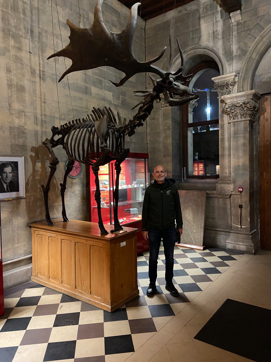 Very excited for @JCSvenning plenary talk at #IEA2023 @irish_ecology on trophic rewilding as a key restoration approach - here he is with our @TCD_NatSci Irish Elk 😀